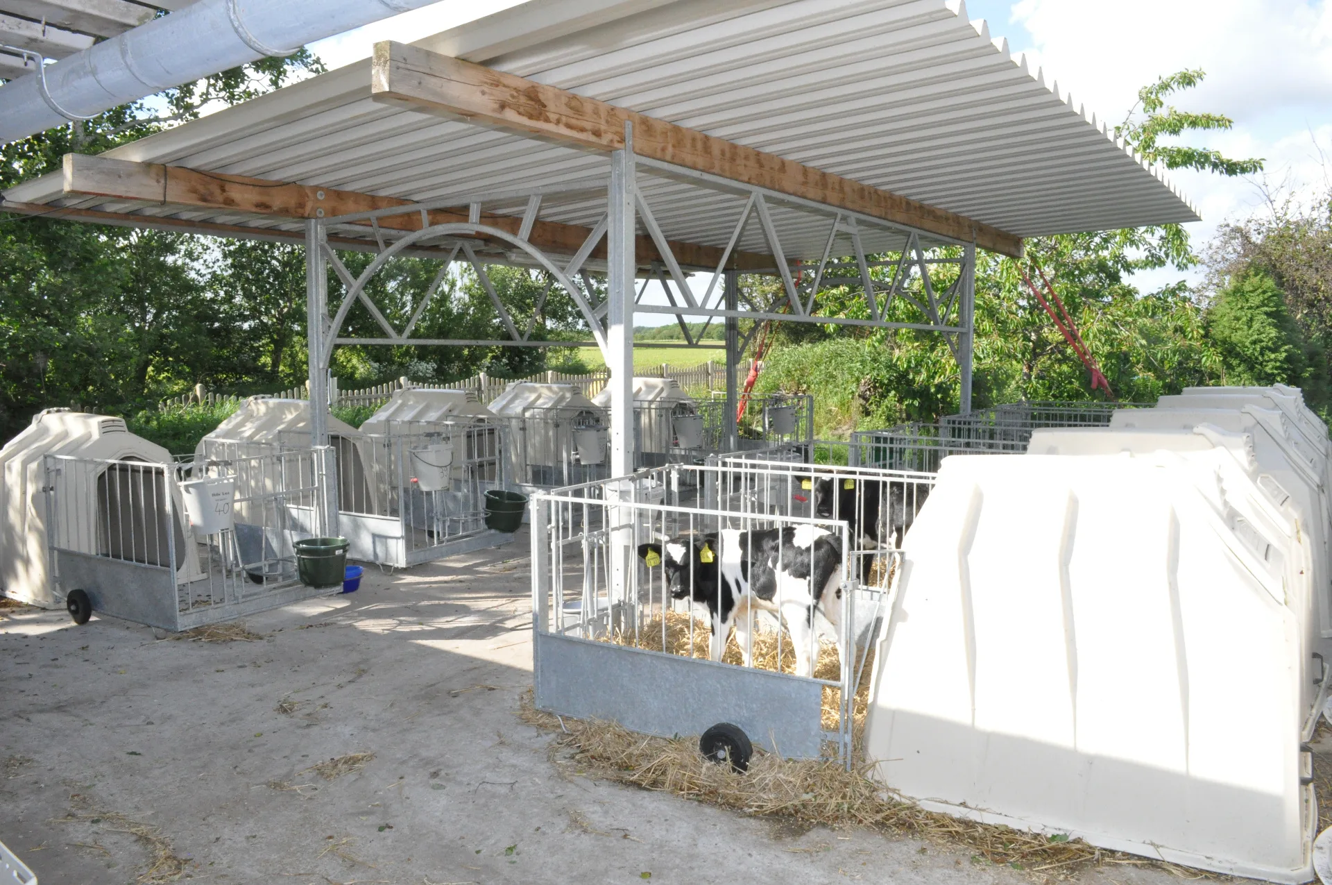 Logements pour veaux - Dematec